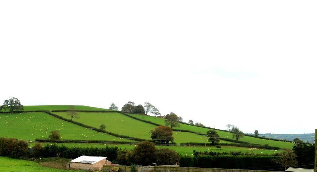 The Cannards Well Shepton Mallet Exterior photo